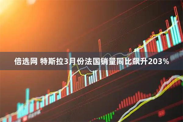 倍选网 特斯拉3月份法国销量同比飙升203%