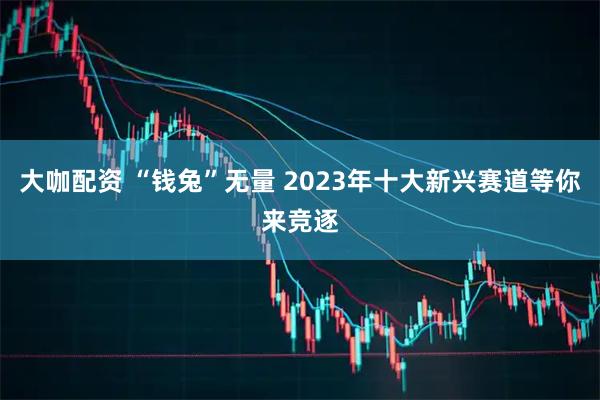 大咖配资 “钱兔”无量 2023年十大新兴赛道等你来竞逐
